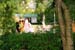 XF12L18-0667-Studio25inc-2006-0904-01-PV-AC